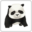 image:Baby Panda3.png
