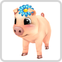 image:Baby Pig3.png