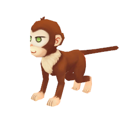 Baby Monkey