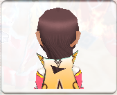 image:Hair0back.png