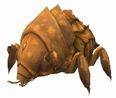 Yggdrasil Armor Bug
