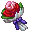 Image:Bride's Bouquet.gif