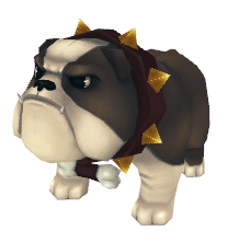 Black Bulldog Pet