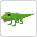 image:Baby Iguana3.png