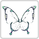 image:Translucent Butterfly Wings3.png