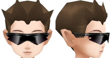 Sunglasses (Black)