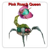 Pinky Roach Queen