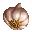 image:Garlic.png