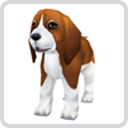 image:Baby Beagle3.png