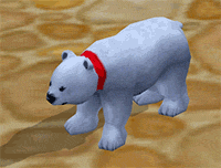 Baby Polar Bear in action