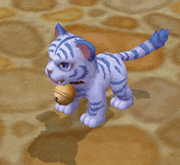 Tiger Cub in action